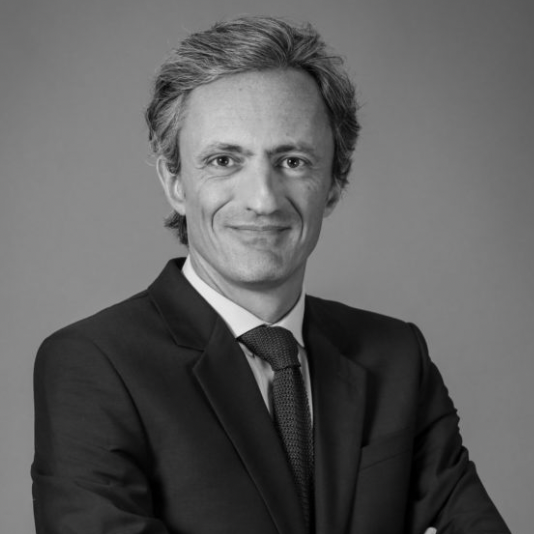 Jean-Guy de Ruffray, Advant Altana