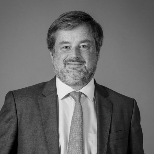 Frédéric Manin, Advant Altana