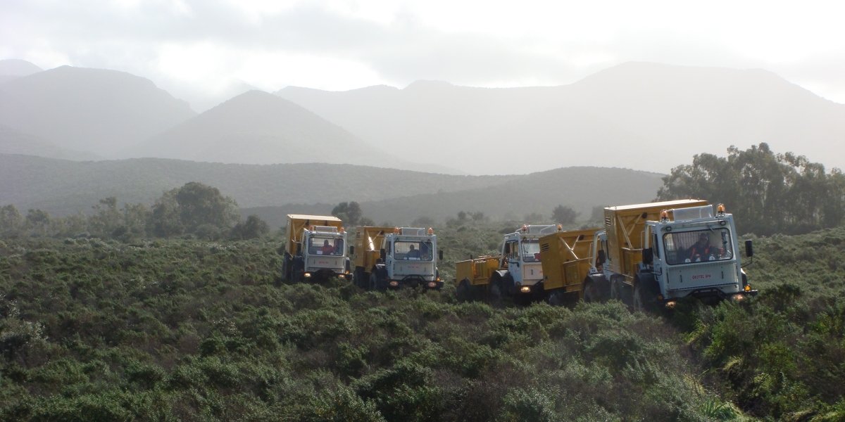 © Ginger Geotec, 2025 © Ginger Geotec, 2025