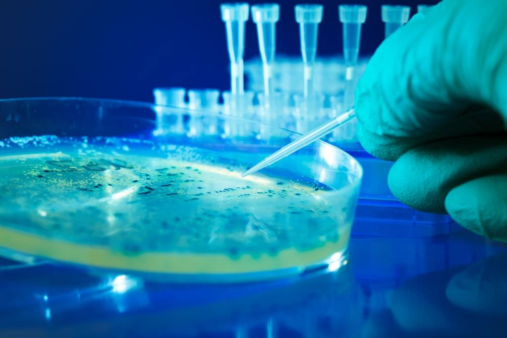 © AgomAb Therapeutics © AgomAb Therapeutics