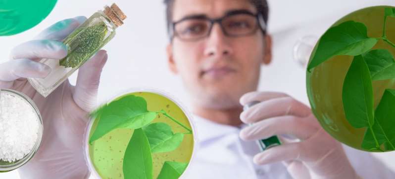 © Laboratoires Phytogénèse © Laboratoires Phytogénèse