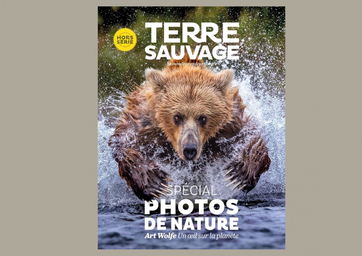 © Terre Sauvage © Terre Sauvage