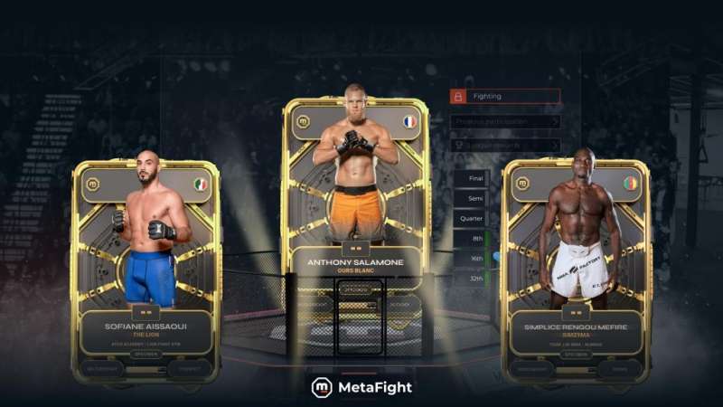 © MetaFight © MetaFight