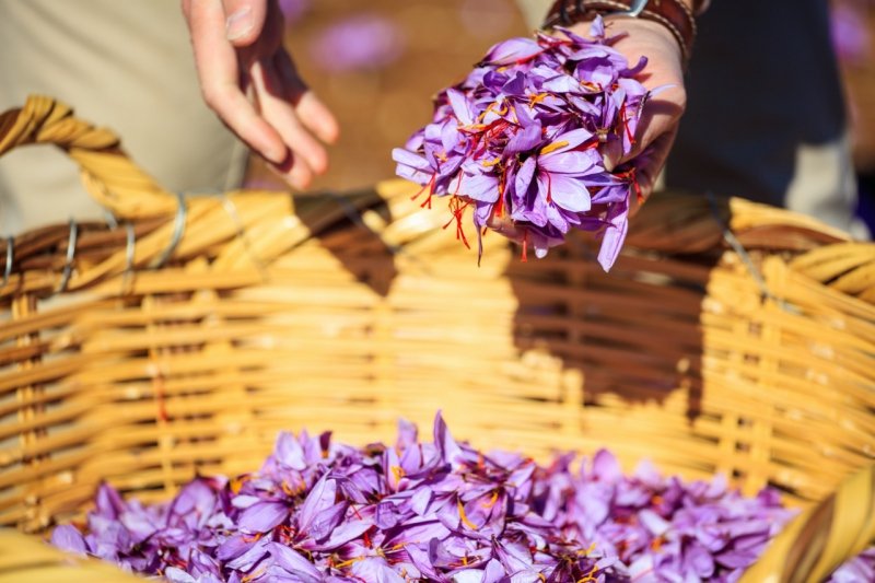 © Adobe stock © Adobe stock