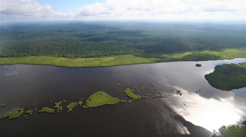 © TotalEnergies / La Compagnie des Bois du Gabon © TotalEnergies / La Compagnie des Bois du Gabon