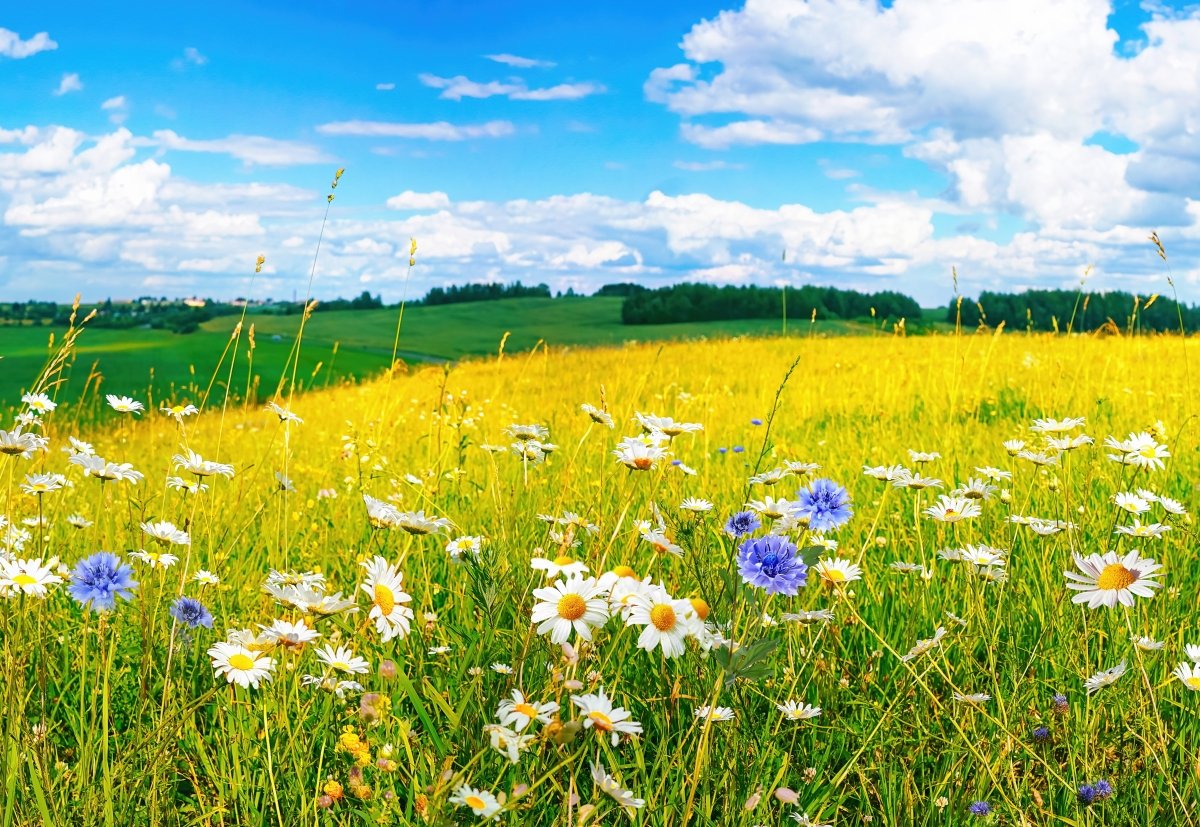 ©Adobe Stock ©Adobe Stock