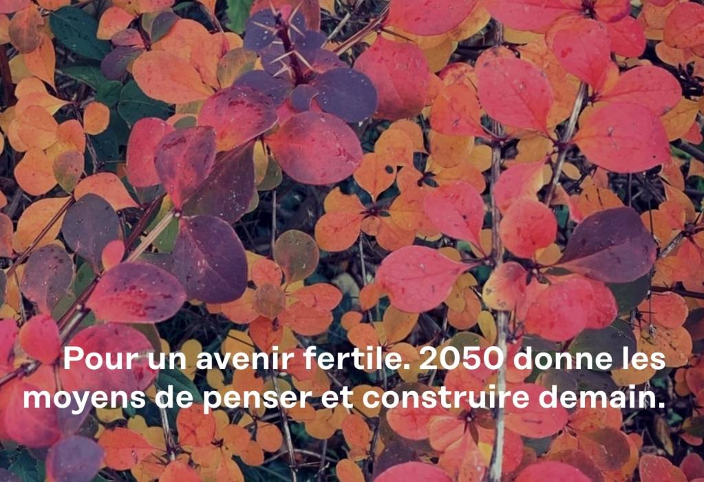 2050 2050