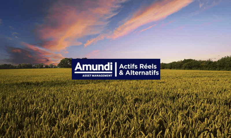 ©Amundi Actifs Réels ©Pixabay ©Amundi Actifs Réels ©Pixabay