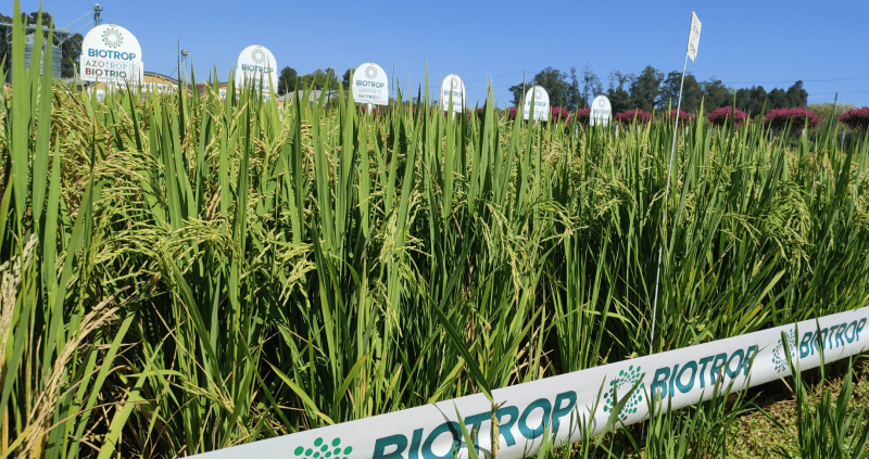 © Biotrop © Biotrop