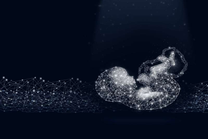 © Adobe Stock © Adobe Stock
