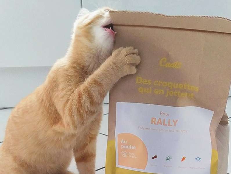 © Caats © Caats