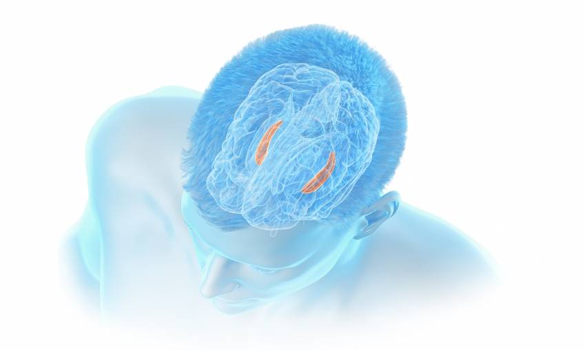 © Corlieve Therapeutics © Corlieve Therapeutics