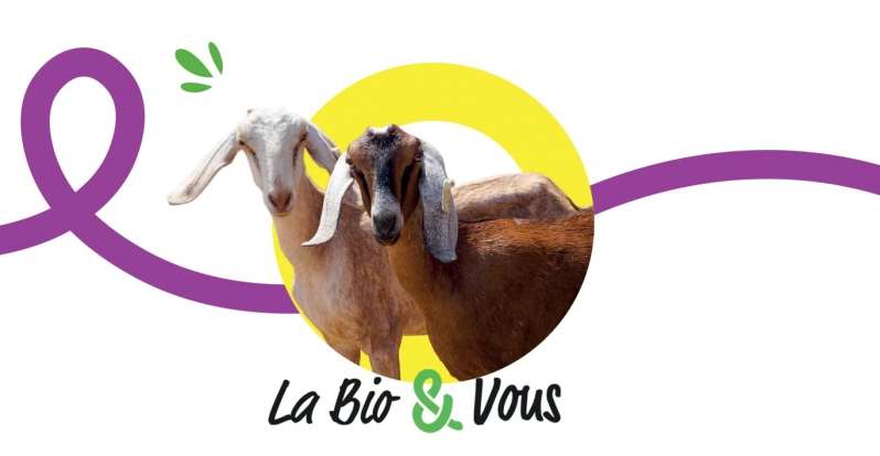 © Relais Vert © Relais Vert