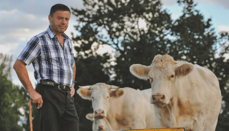 © Les Eleveurs de la Charentonne © Les Eleveurs de la Charentonne