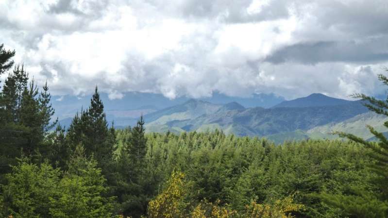 © International Woodland Company (IWC) © International Woodland Company (IWC)