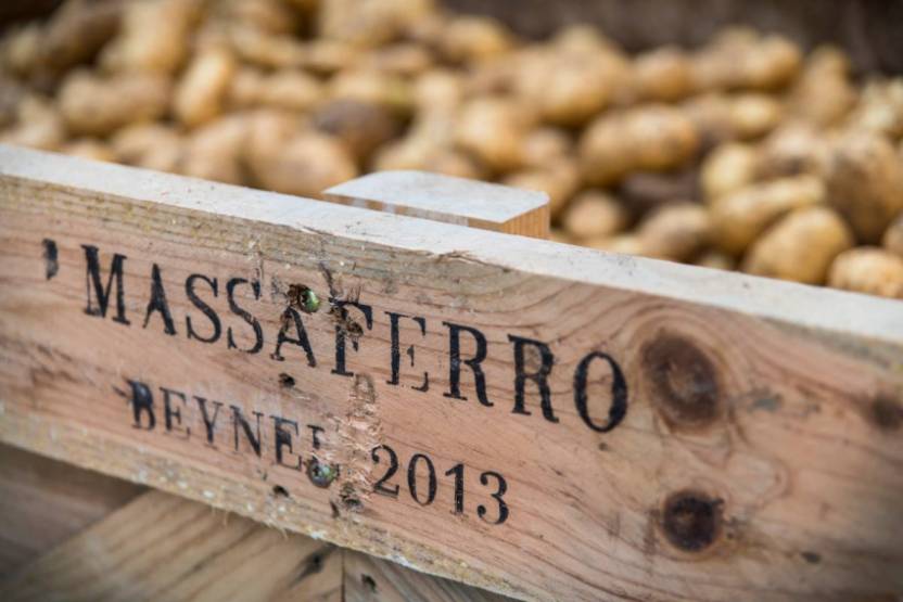 © Massaferro