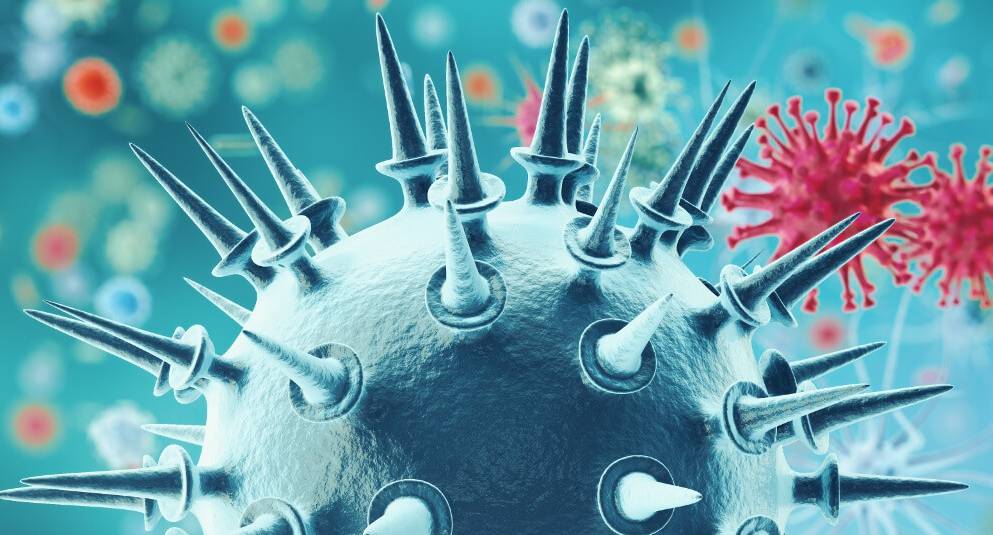 © abl-immuno.com © abl-immuno.com