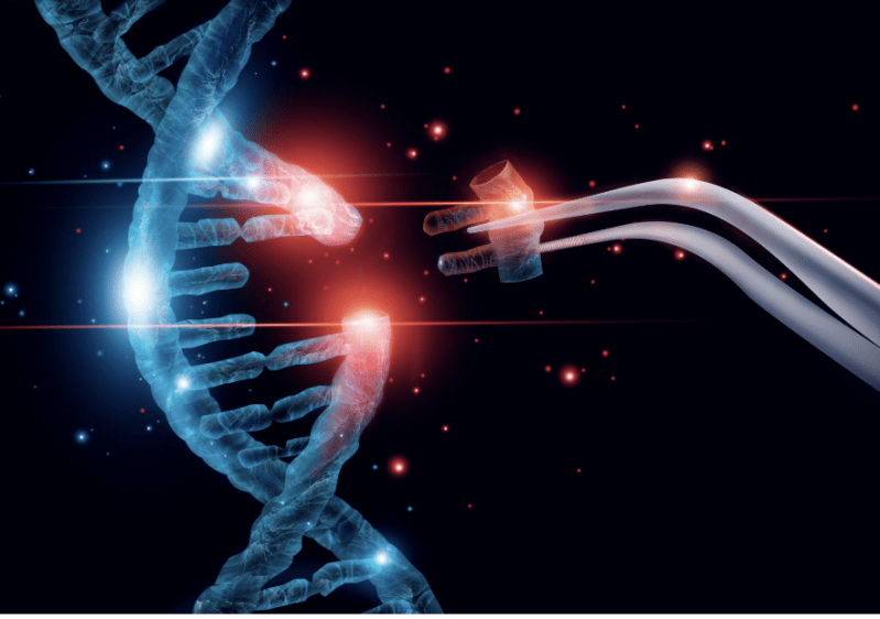 ©Broken String Biosciences ©Broken String Biosciences
