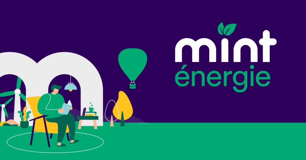 © Mint (ex Budget Telecom) © Mint (ex Budget Telecom)