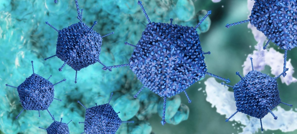 © Xylocor Therapeutics © Xylocor Therapeutics