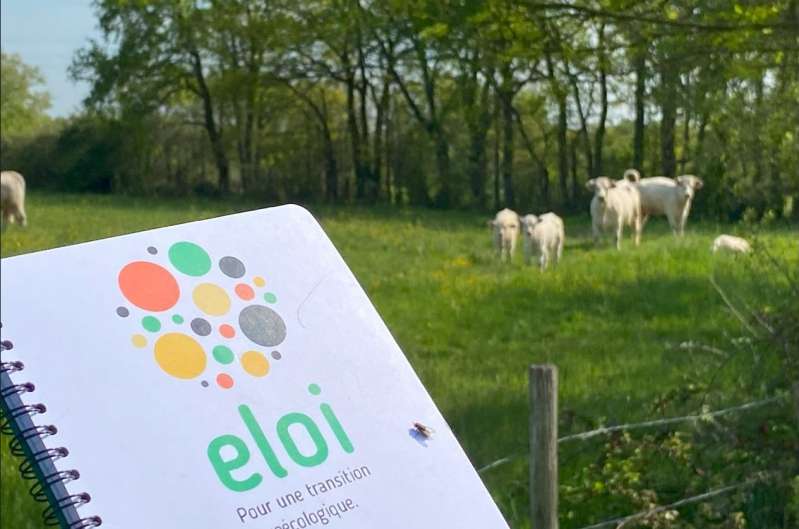 © Eloi © Eloi