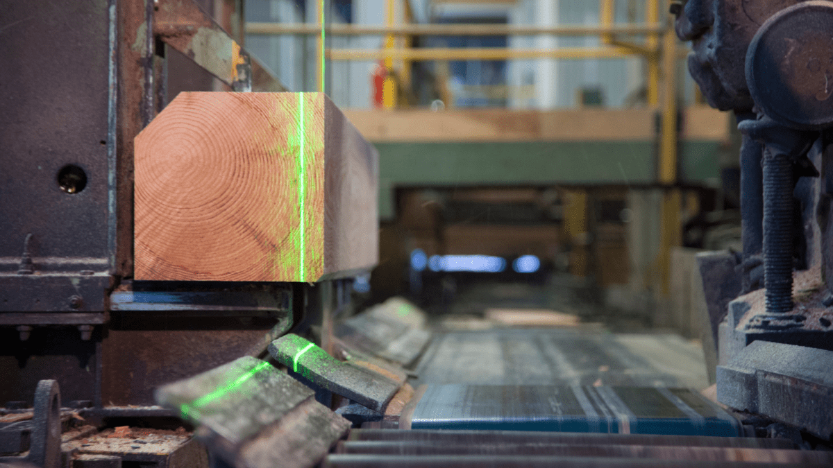 © Scieries de Corgnac, 2025. © Scieries de Corgnac, 2025.