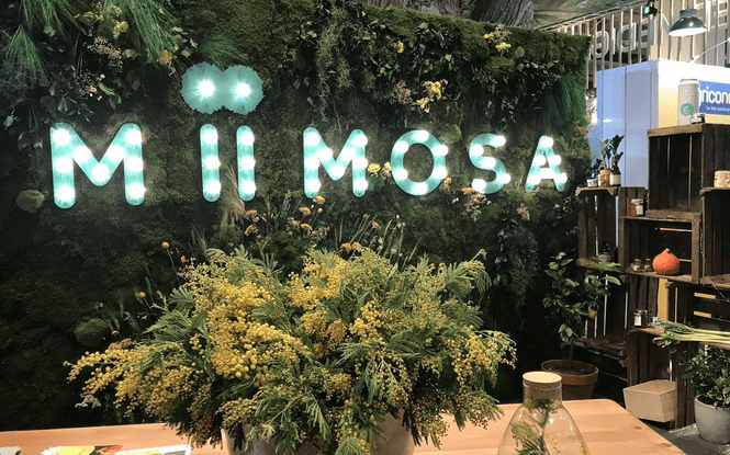© MiiMOSA © MiiMOSA
