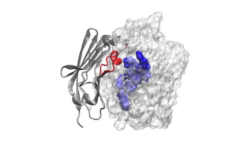 © Apmonia Therapeutics © Apmonia Therapeutics