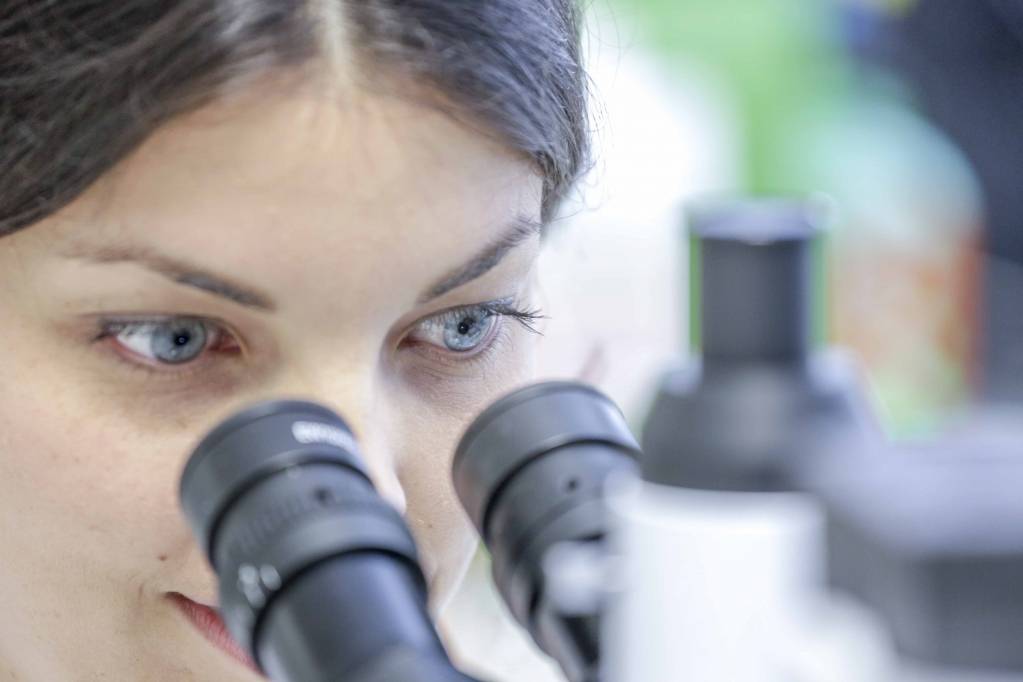 ElsaLys Biotech UNE ElsaLys Biotech UNE