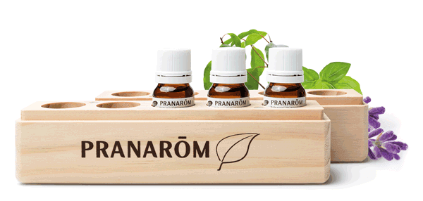 Pranabox rangement flacon huiles essentielles Pranabox rangement flacon huiles essentielles