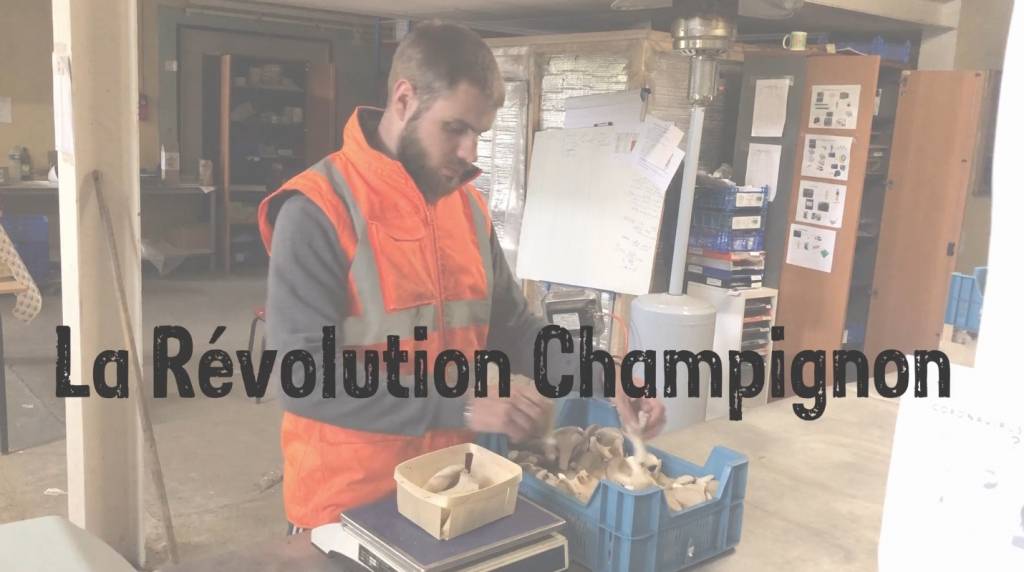 © La Révolution Champignon © La Révolution Champignon
