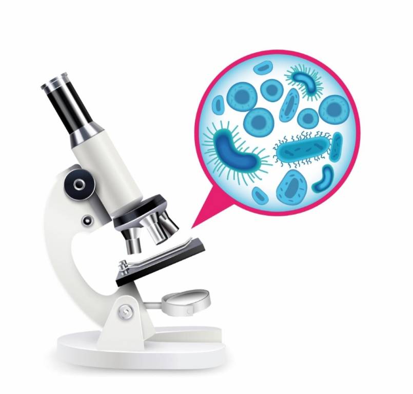 Microscope Nahibu Microscope Nahibu