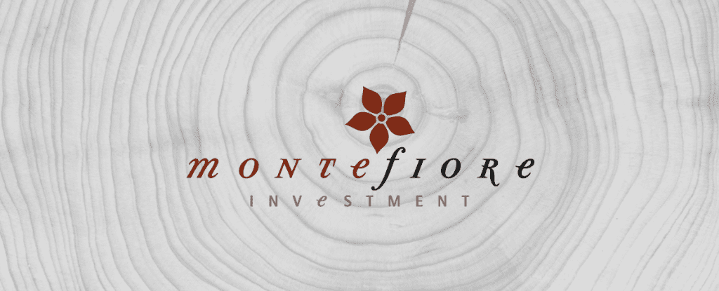 © Montefiore Investment © Montefiore Investment