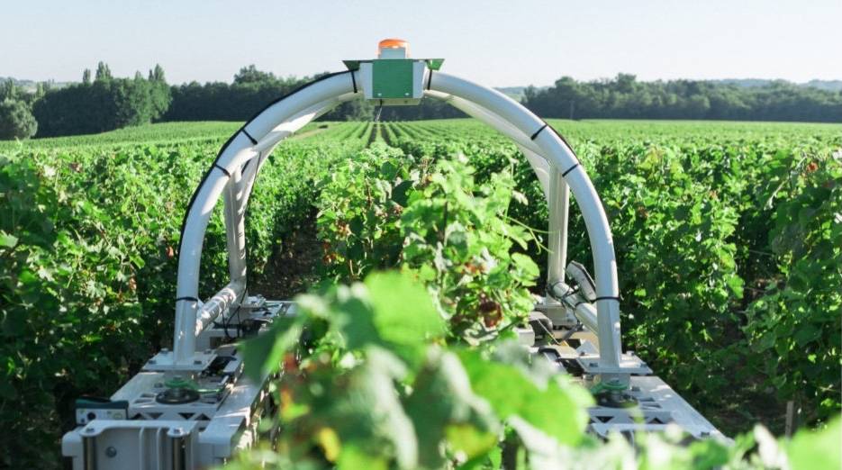Robot agricole TED dans le vignoble de Saint-Emilion - © Naïo Technologies Robot agricole TED dans le vignoble de Saint-Emilion - © Naïo Technologies