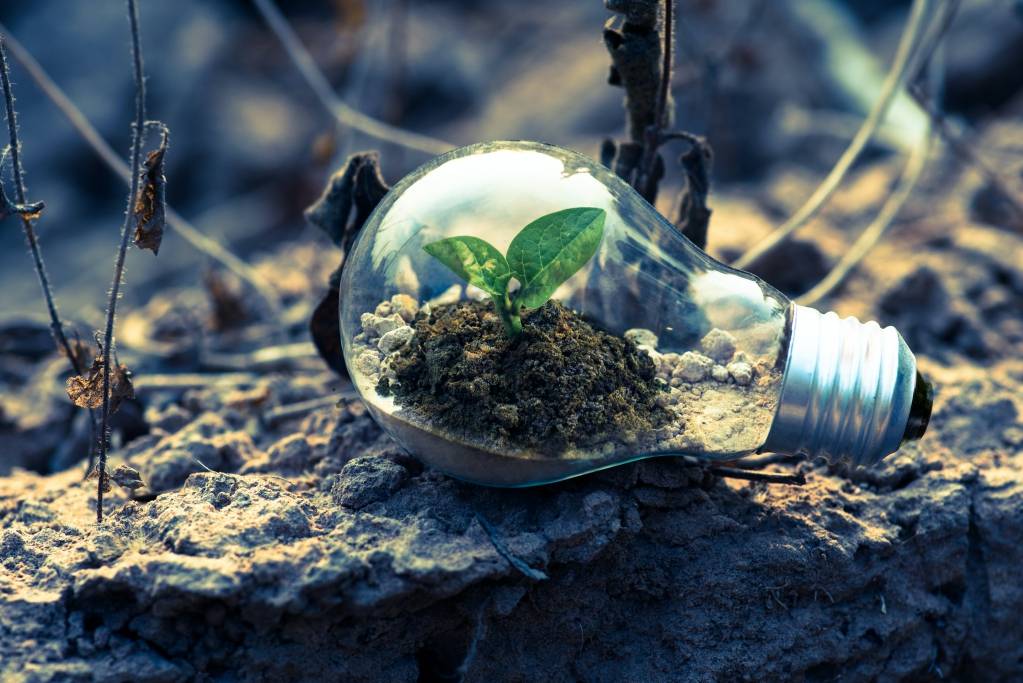 Time for the planet Time for the planet
