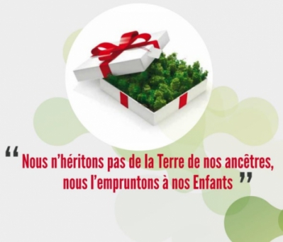 Plaquette en ligne Africa Global Recycling - ©africaglobal-recycling.com