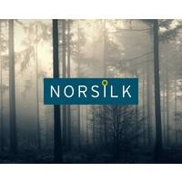 M&A Corporate NORSILK mardi 27 juillet 2021 M&A Corporate NORSILK mardi 27 juillet 2021
