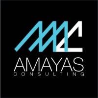 LBO AMAYAS CONSULTING mardi 22 avril 2025 LBO AMAYAS CONSULTING mardi 22 avril 2025