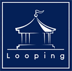 LBO LOOPING mercredi 27 janvier 2016 LBO LOOPING mercredi 27 janvier 2016