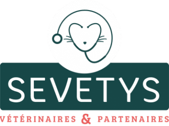 LBO SEVETYS lundi 27 juin 2022 LBO SEVETYS lundi 27 juin 2022