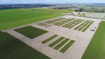 Champs de betteraves © Cristal Union Champs de betteraves © Cristal Union