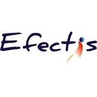 LBO EFECTIS jeudi 23 mai 2024 LBO EFECTIS jeudi 23 mai 2024