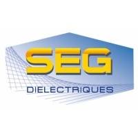 Capital Développement SEG DIELECTRIQUES mardi 13 février 2024 Capital Développement SEG DIELECTRIQUES mardi 13 février 2024