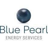 Capital Développement BLUE PEARL ENERGY SERVICES lundi 2 novembre 2020 Capital Développement BLUE PEARL ENERGY SERVICES lundi 2 novembre 2020