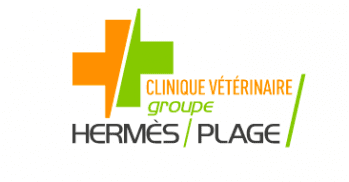 LBO GROUPE HERMÈS/PLAGE mardi 19 décembre 2023 LBO GROUPE HERMÈS/PLAGE mardi 19 décembre 2023