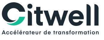 LBO CITWELL CONSULTING vendredi 29 décembre 2023