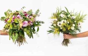 © Fleurs d Ici © Fleurs d Ici