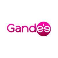 Capital Innovation GANDEE vendredi 31 mars 2023