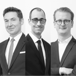 Eric Bruguière, Thomas Roudil et Hugues de Gastines, Ciclad Eric Bruguière, Thomas Roudil et Hugues de Gastines, Ciclad