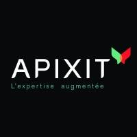 LBO APIXIT (EX-DATA CONCEPT INFORMATIQUE (DCI) mardi 29 mars 2011 LBO APIXIT (EX-DATA CONCEPT INFORMATIQUE (DCI) mardi 29 mars 2011